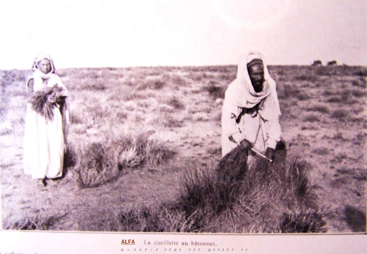 Images d'Algerie 012.jpg